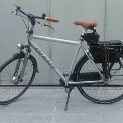 Vlo Hollandais, Giant Xl-xxl.