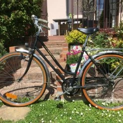 Vlo De Femme Vintage Pour La Ville