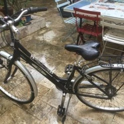 Vlo Hollandais Windsor