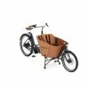 Babboe Mini Mountain -VELO URBAIN Soldes Magasin Babboe Mini Mountain 01 63 scaled 1