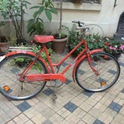 Vlo De Marque Champion