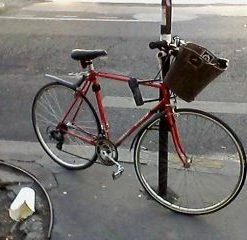 Vlo De Course Adapt Urbain