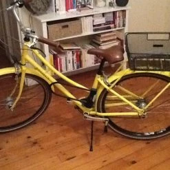 Velo Ridgback Tradition Avec Panier