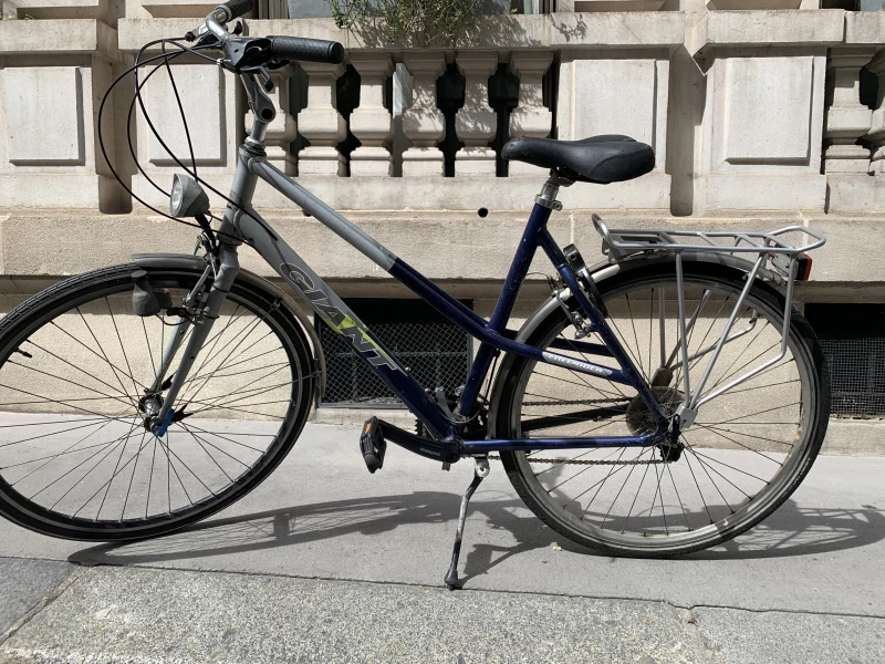 Velo Hollandais Giant 3 Velo Hollandais Giant